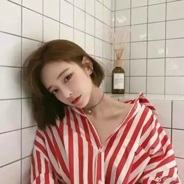 新房客
